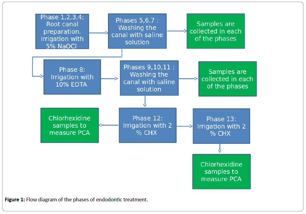 clinical-experimental-orthopedics-Flow-diagram