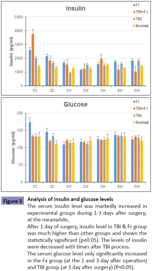 orthopedics-Analysis-insulin-glucose