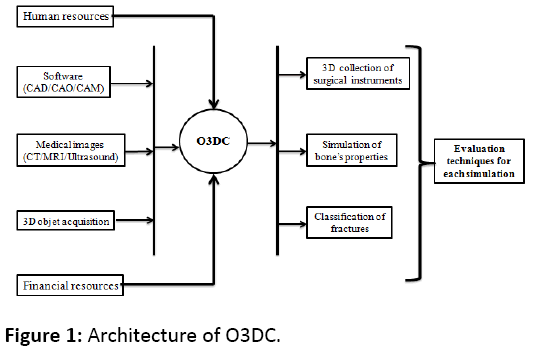 orthopedics-Architecture-O3DC