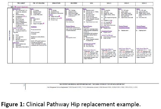 orthopedics-Clinical-Pathway-Hip-replacement