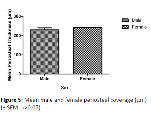 orthopedics-male-female-periosteal